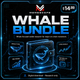 Whale Bundle